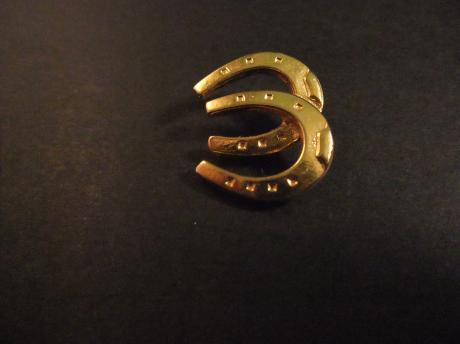 Goudkleurige gelukshoefijzers,  geluk cadeau, Horse liefhebbers
